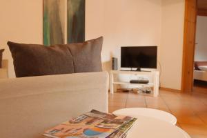 ein Wohnzimmer mit einem Sofa und einem TV in der Unterkunft Ferienwohnung Bildgasse in Neustadt an der Weinstraße
