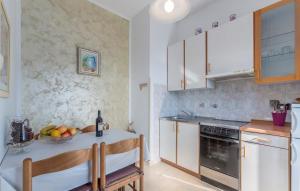 Kuchyň nebo kuchyňský kout v ubytování Apartment Complex Orzan Lovrecica