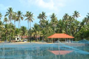 Příroda nedaleko bed and breakfast