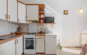 Kuchyň nebo kuchyňský kout v ubytování Apartment Complex Orzan Lovrecica