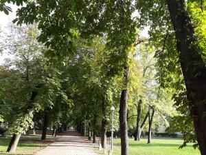 Fotografia z galérie ubytovania Liget Apartman v Budapešti