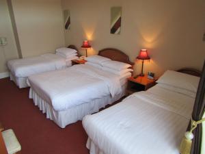 Uma cama ou camas num quarto em Darnley Lodge Hotel