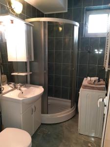 a bathroom with a shower and a sink and a toilet at Apartament Unirii Belvedere in Baia Mare