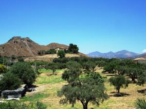 a house on top of a hill with trees at Ciuscia in Calatabiano