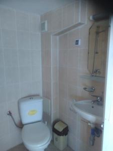 カヴァルナにあるApartments Bizoneのバスルーム(トイレ、洗面台付)