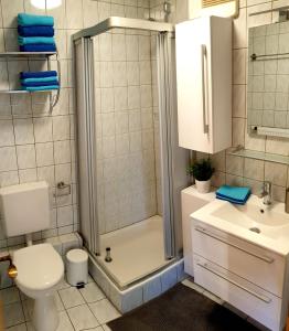 a bathroom with a shower and a toilet and a sink at Wohlfühl-Apartment Bad Kissingen I in Bad Kissingen