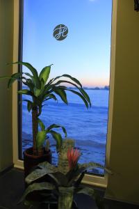 A general sea view or a sea view taken from a hosteleket