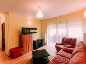 a living room with a couch and a tv at Spacious Apartment near Peles in Sinaia