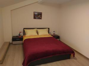 1 dormitorio con 1 cama y 2 mesitas de noche en Стаи за гости Елени en Shiroki Dol