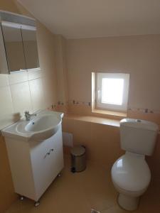 uma casa de banho com um lavatório, um WC e uma janela. em Стаи за гости Елени em Shiroki Dol