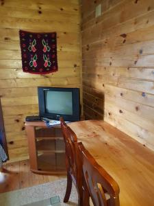 TV a/nebo společenská místnost v ubytování KULA DAMJANOVA-Komnenovo selo