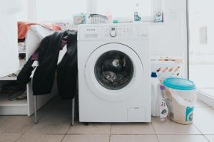 uma máquina de lavar roupa branca com um cão dentro em Silver Coast House until 7 Guests em Seixo