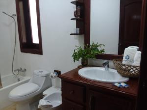 y baño con aseo, lavabo y espejo. en Oasi Encantada - Beach Resort, en Santa Cruz de Barahona