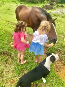 two little girls and a dog looking at a horse at Fazenda Monte Verde A Morada do Muriqui in São Francisco Xavier