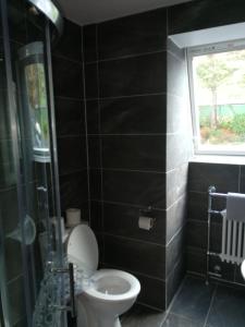 a bathroom with a toilet and a shower and a window at Caitin's in Kells