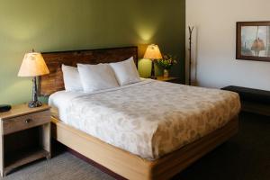 ein Hotelzimmer mit einem Bett und zwei Lampen in der Unterkunft Brown County Inn in Nashville