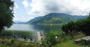 a view of a lake with mountains in the background at Appartementhaus Karantanien am Ossiacher See in Ossiach