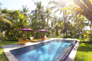 - une piscine avec des chaises et des parasols dans la cour dans l'établissement Suarsena Villa Ubud, à Ubud