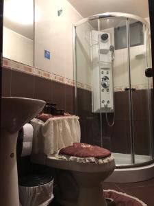 La salle de bains est pourvue d'une douche, de toilettes et d'un lavabo. dans l'établissement Hotel Los Ilinizas, à Latacunga