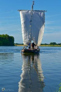 a small boat with a white sail in the water at Les Orkys De Loire in Chalonnes-sur-Loire