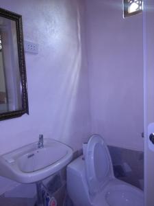a bathroom with a toilet and a sink and a mirror at Overview Hostel in Loon