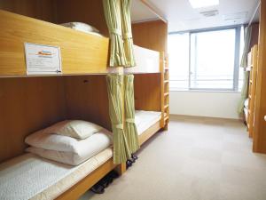 Palanda nebo palandy na pokoji v ubytování Shin-Osaka Youth Hostel