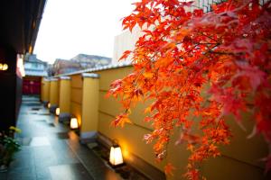 京都京都高濑川别邸的相册照片