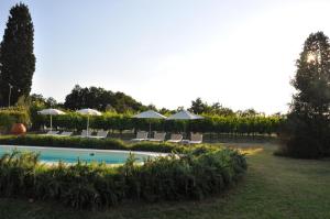 The swimming pool at or close to Borgo San Giusto
