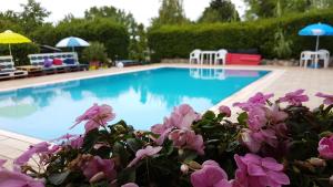 a swimming pool with purple flowers in front of it at Mandel Apartment in Paloznak