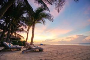 - deux chaises longues sur une plage bordée de palmiers dans l'établissement Sailing Club Resort Mui Ne, à Mui Ne