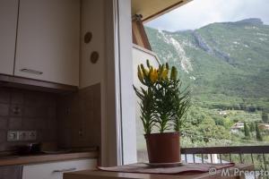 uma planta em vasos sentada numa mesa em frente a uma janela em Gardabellevue em Malcesine