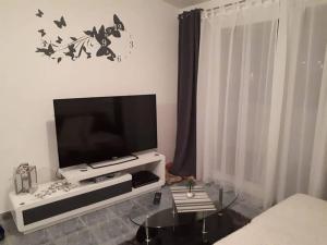 sala de estar con TV de pantalla plana sobre una mesa en Apartments Sara, en Tisno