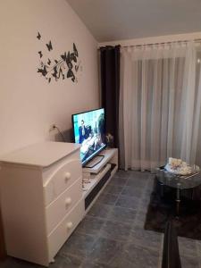 una sala de estar con TV y una cómoda con una bañera de hidromasaje en Apartments Sara, en Tisno