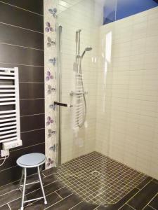 a shower stall with a stool in a bathroom at Manoir de la Grand'Cour in Soulgé-sur-ouette +27 photos