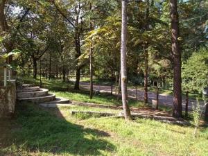 Zahrada ubytování Hotel Poseidon