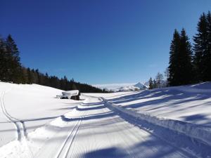Waldfrieden talvel