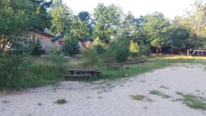 Príroda v okolí chaty v prírode