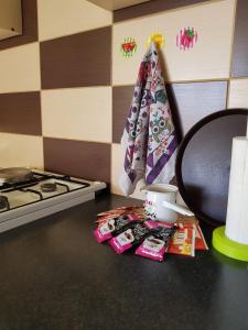 Kuchyň nebo kuchyňský kout v ubytování Apartment Ivica
