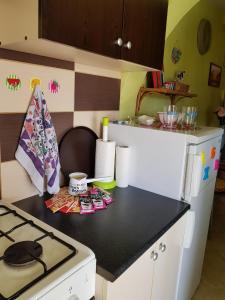 Kuchyň nebo kuchyňský kout v ubytování Apartment Ivica