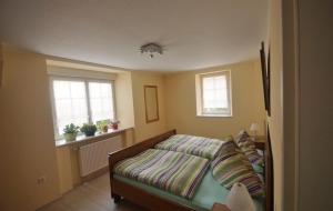 ein Schlafzimmer mit einem Bett und zwei Fenstern in der Unterkunft Ferienwohnung Moog in Lonnig