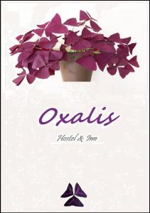 Certifikát, hodnocení, plakát nebo jiný dokument vystavený v ubytování Apartment Oxalis