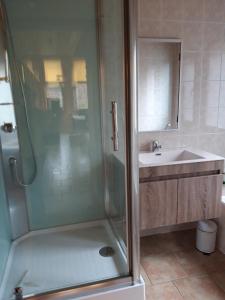 W łazience znajduje się prysznic i umywalka. w obiekcie Chalet Bonne Humeur w mieście Houffalize