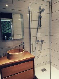 uma casa de banho com um lavatório e um chuveiro em Logis Hôtel Lodge La Valette em Cesson-Sévigné
