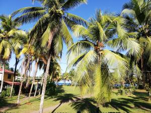 a group of palm trees in a park at Hospedaje Meryscar in Tortuguero