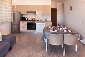 Кухня или мини-кухня в Apartment Villa Lidija
