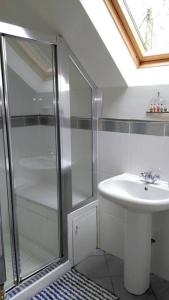a bathroom with a shower and a sink at The Garden Apartment in Dunino