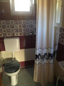 a bathroom with a toilet and a shower curtain at House Kupina in Gdinj