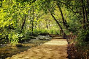 Gallery image of Apartman Lujko Plitvice in Plitvička Jezera