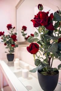 a group of red roses in a vase on a counter at Colina Verde Resort in Moncarapacho