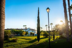 a street light in a park with palm trees at Colina Verde Resort in Moncarapacho